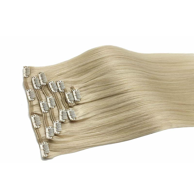 Classic Clip in Hair Extensions