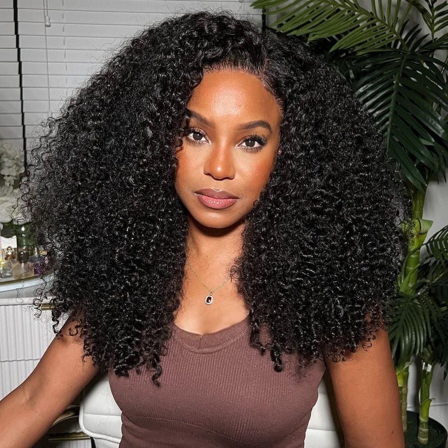 Fluffy Kinky Curly HD Transparent Lace Front Wigs 13x4/6x4 Real Human Hair Wig Pre Plucked Hairline Hair