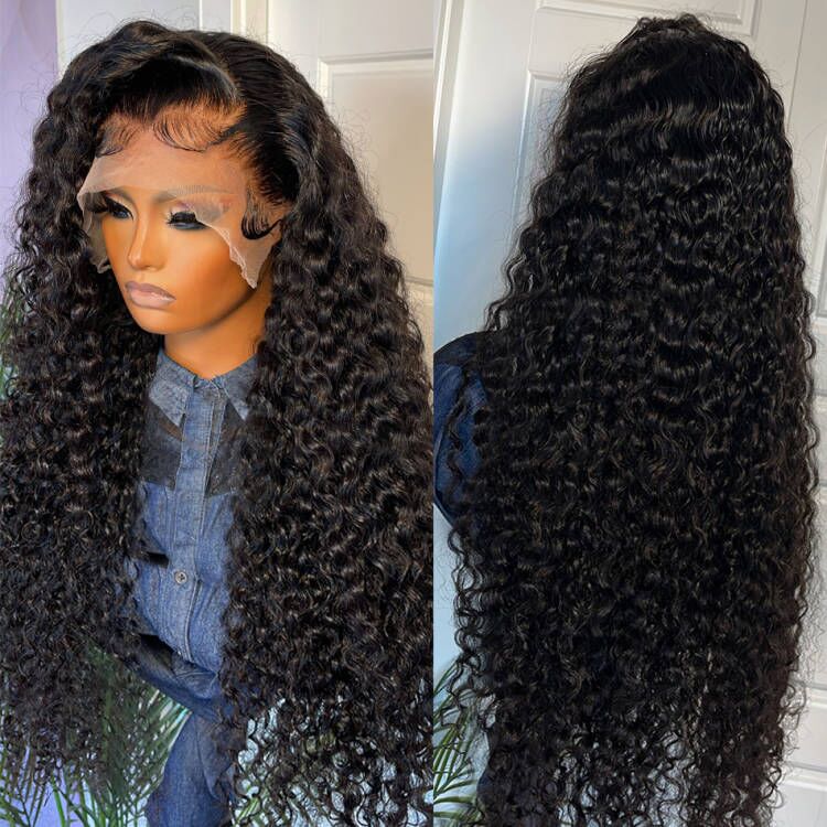 Black Curly 13x4 HD Lace Front Wig 100% Virgin Human Hair Wigs Pre Plucked Hairline